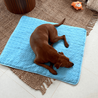 Tapis Rafraîchissant Chien Confortable Antidérapant - Foivo