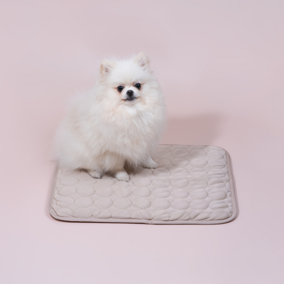 Tapis Rafraîchissant pour Chiens Confortable 3