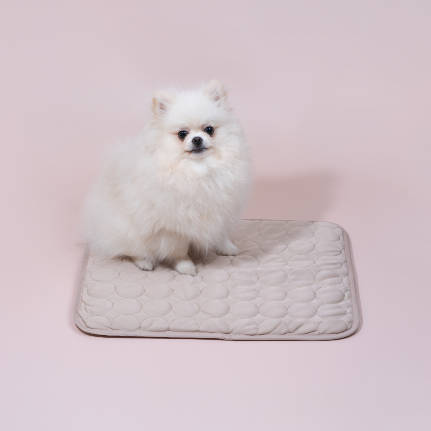 Tapis Rafraîchissant pour Chiens Confortable 3