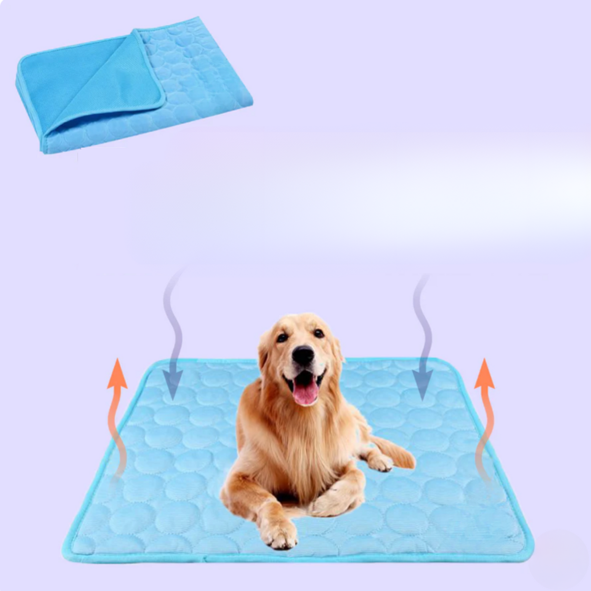 Tapis Rafraîchissant pour Chiens Confortable 8