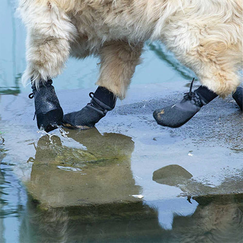 Bottes Canines Étanches Tout-Terrain - Foivo