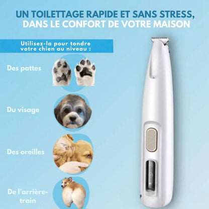 Tondeuse Silencieuse pour Chiens et Chats 1