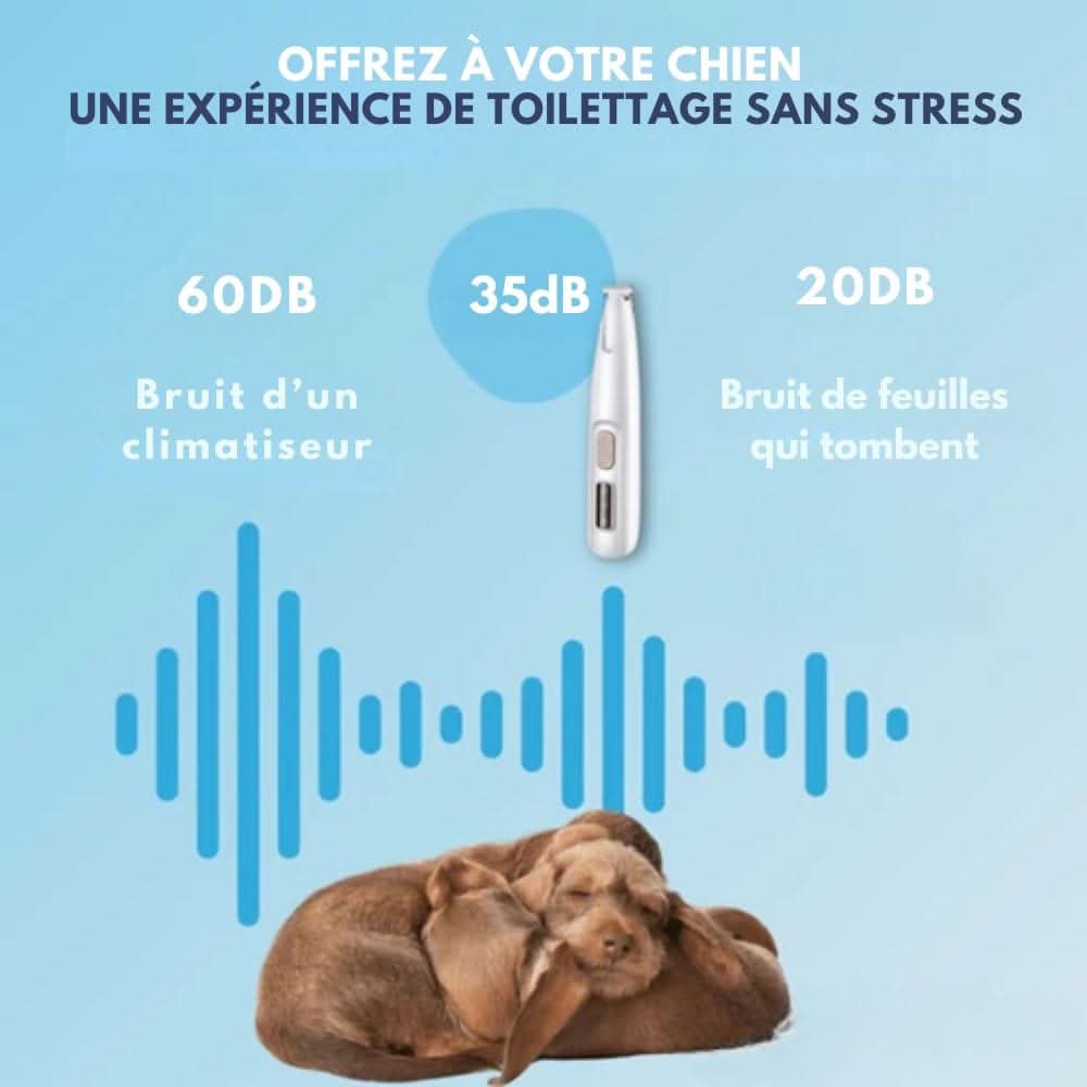 Tondeuse Silencieuse pour Chiens et Chats 2