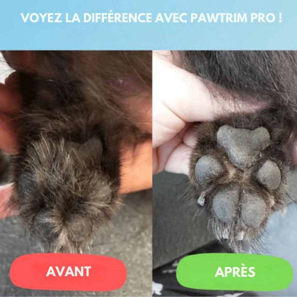 Tondeuse Silencieuse pour Chiens et Chats 4