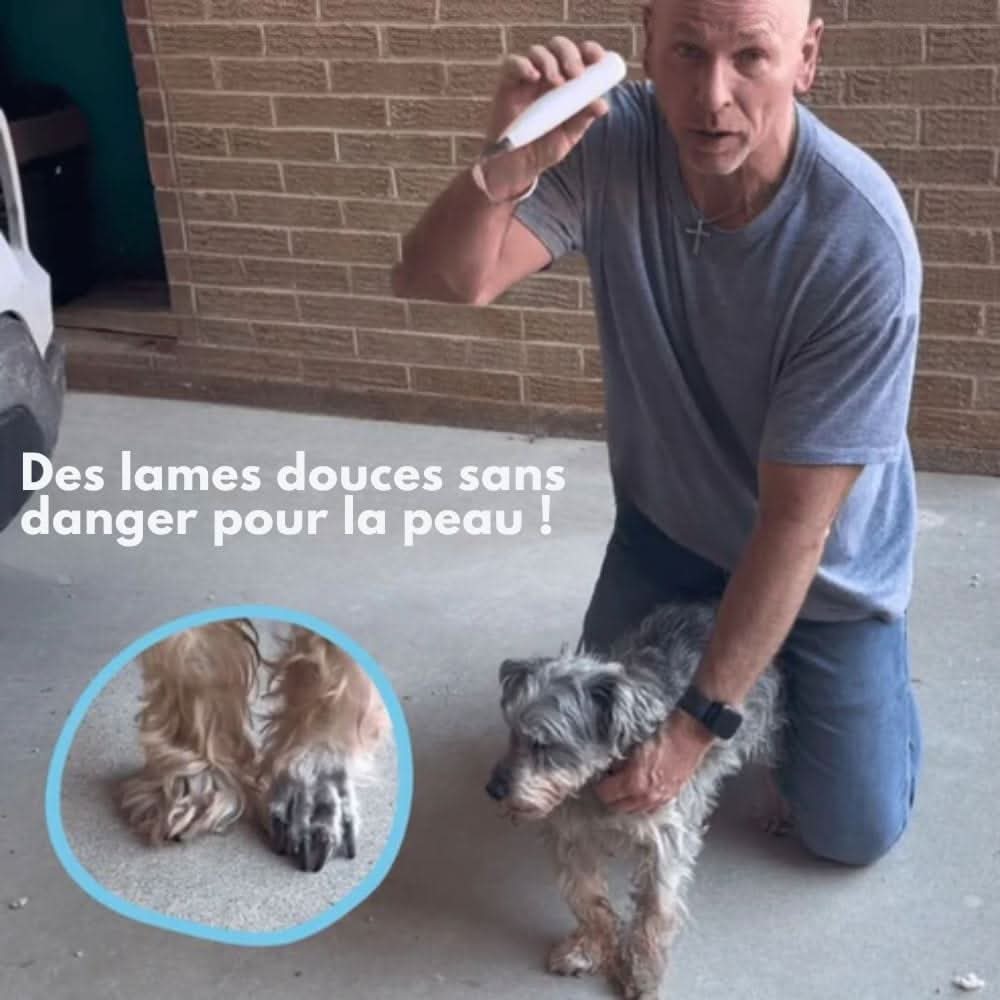 Tondeuse Silencieuse pour Chiens et Chats 5