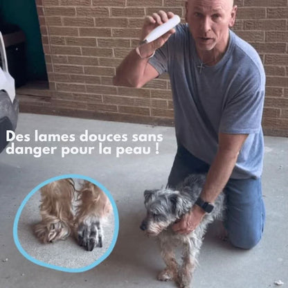 Tondeuse Silencieuse pour Chiens et Chats 5