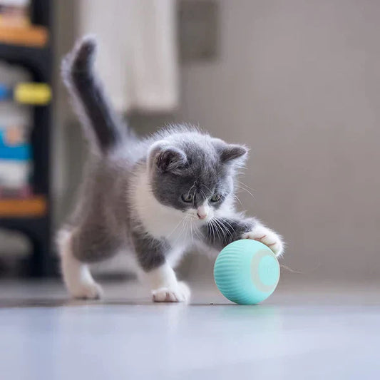 Jouet Chat Électronique Ludique Boule Tournante - BlxckFR
