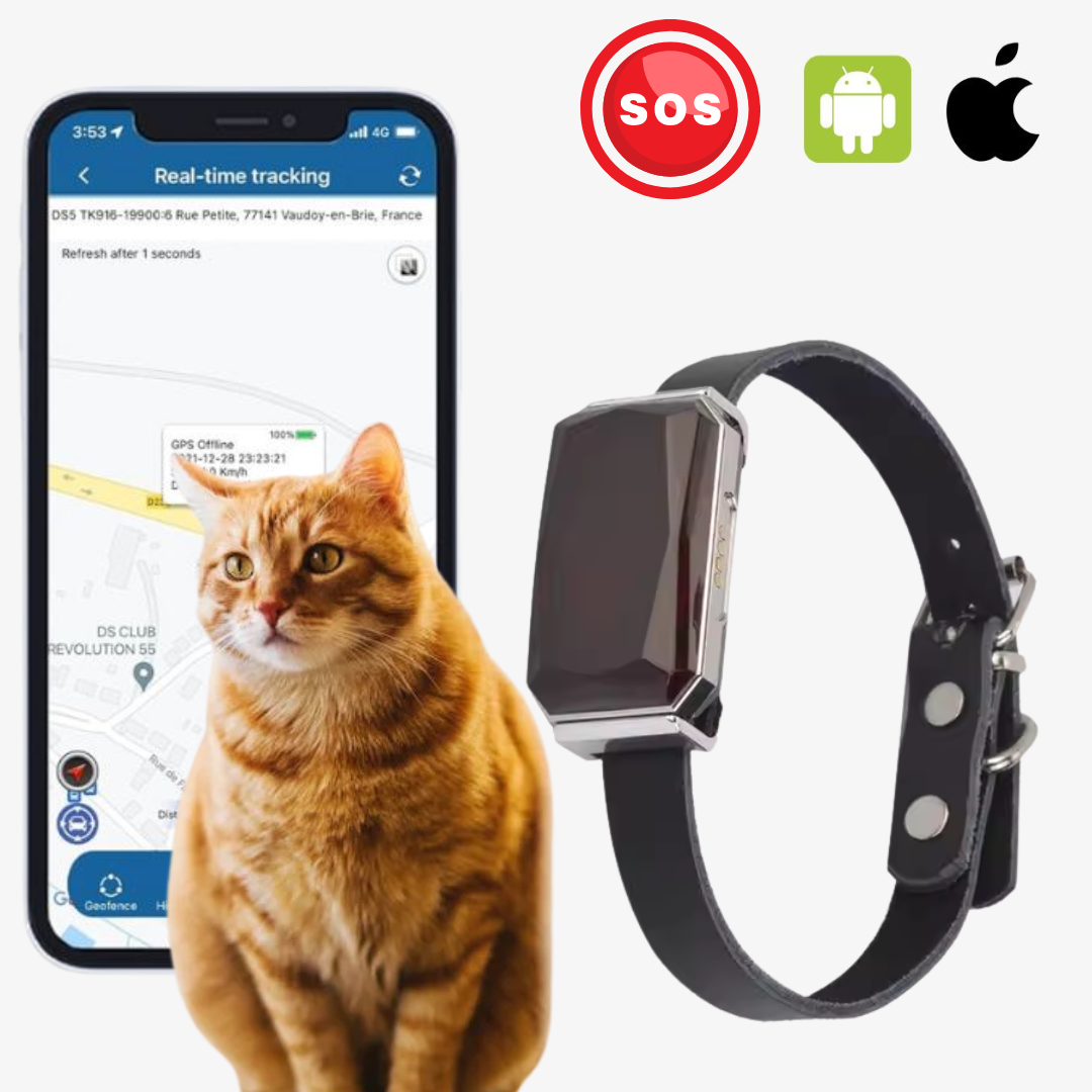 Collier GPS Libre Sans Abonnement, Portée Étendue - blxckfr
