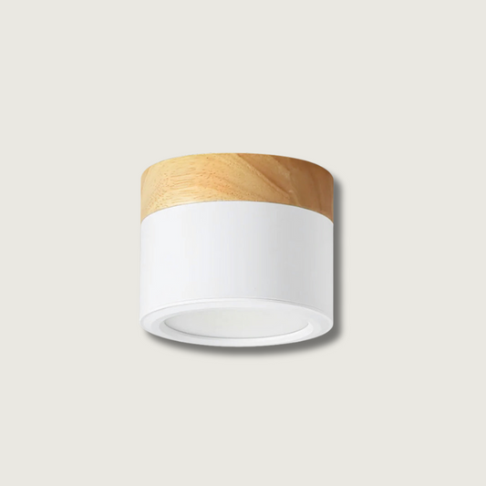 Lampe Plafond Élégante | Éclairage Moderne et Design Nordique - Foivo