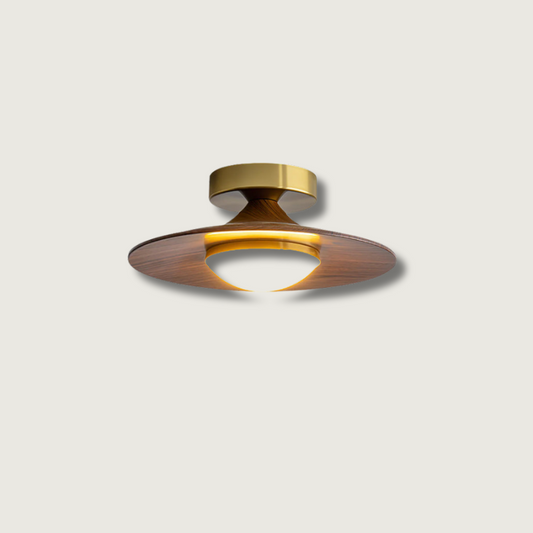 Lampes de Plafond Design Élégant - Foivo