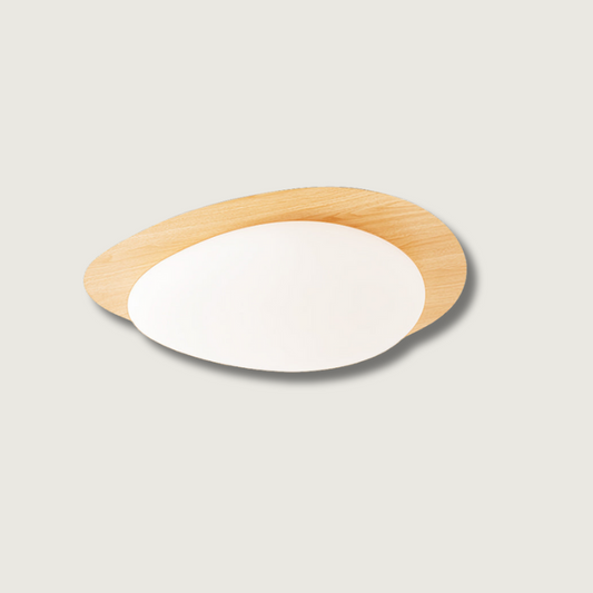 Lampe Plafond LED Élégante - Foivo