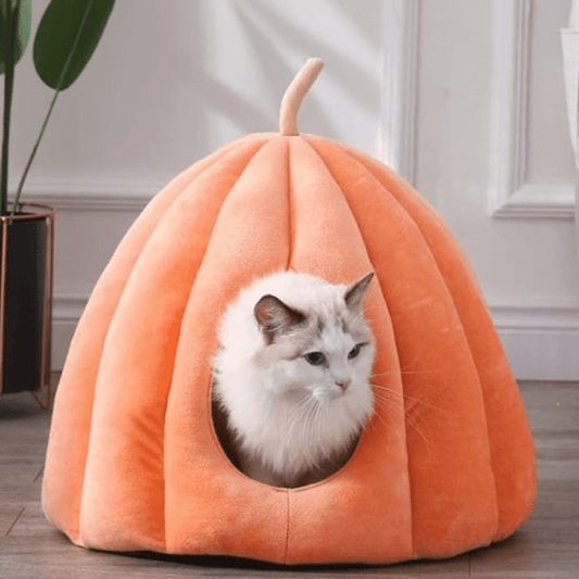 Lit Chat Douillet Automne - Foivo