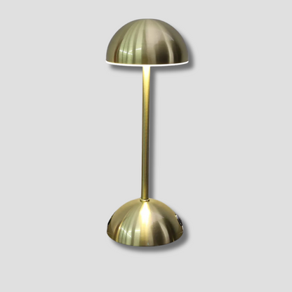 Lampe LED Ambiance Polychrome - Foivo