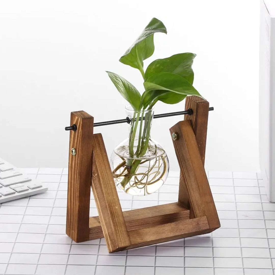 Jardinière Hydroponique Design Moderne - BlxckFR