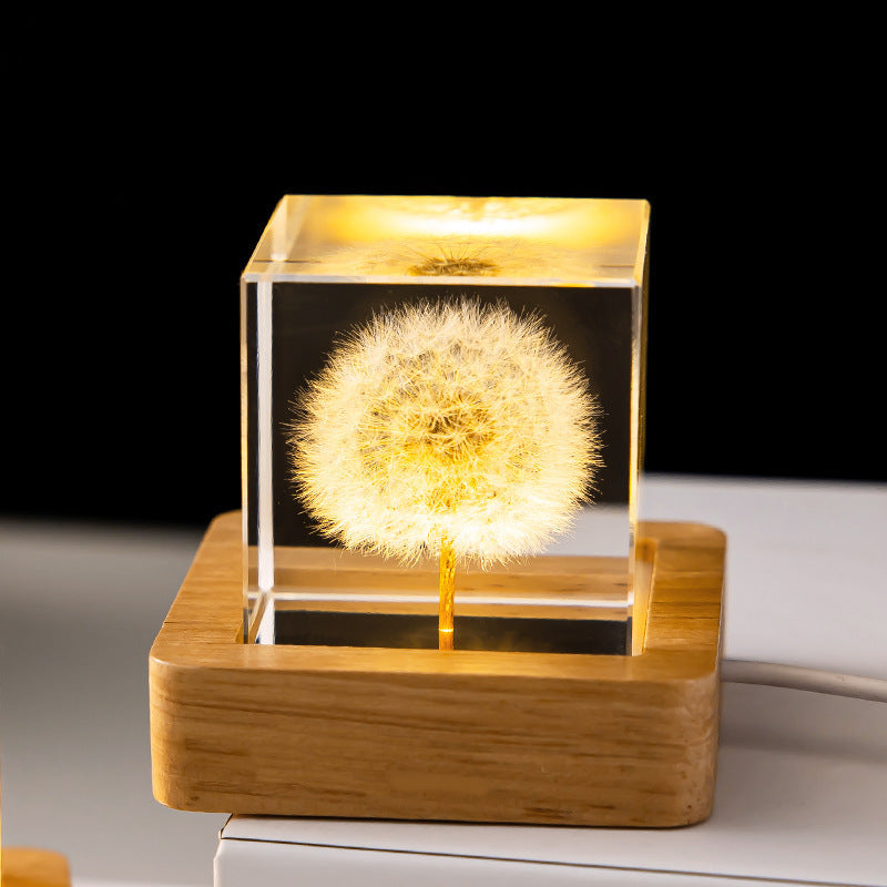 Veilleuse LED Design Boule Pissenlit Unisexe - Foivo
