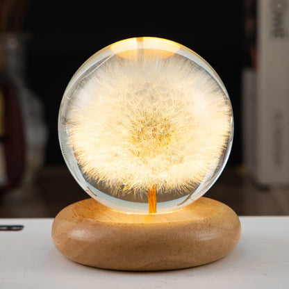 Veilleuse LED Boule de Pissenlit Design 12