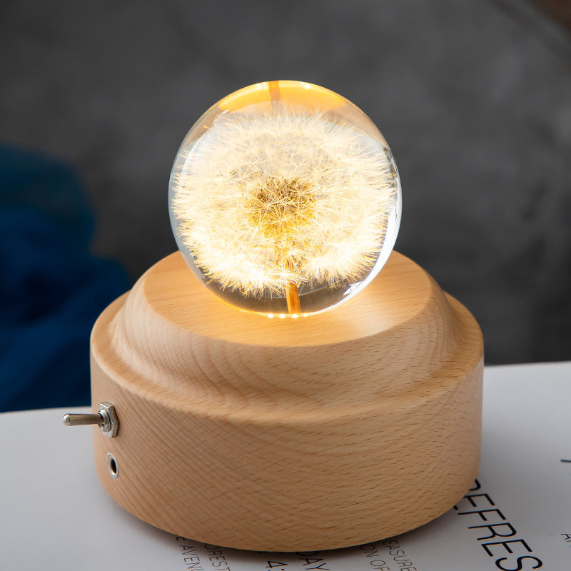 Veilleuse LED Boule de Pissenlit Design 4