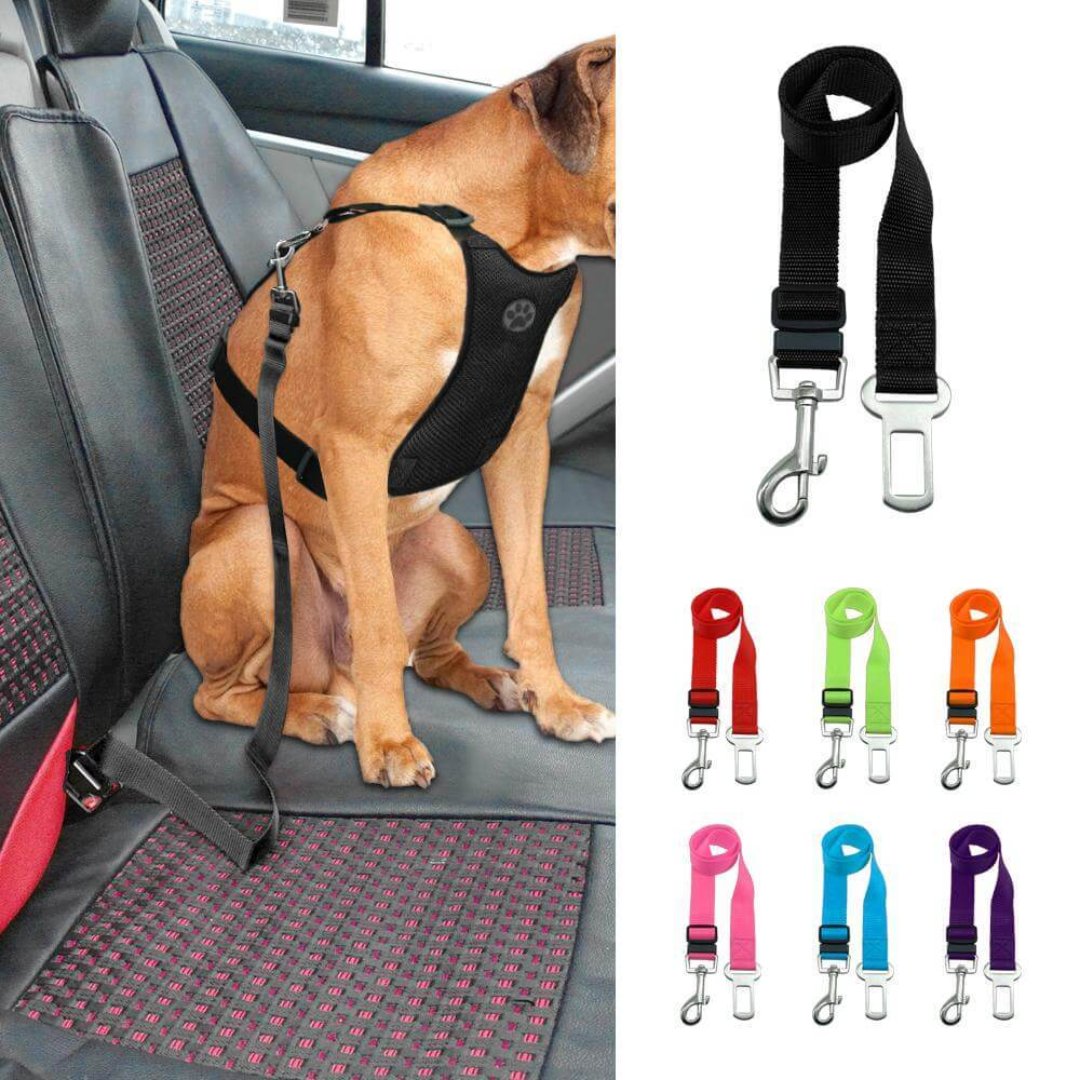 Harnais de Voiture pour Chien Réglable et Sûr - Foivo