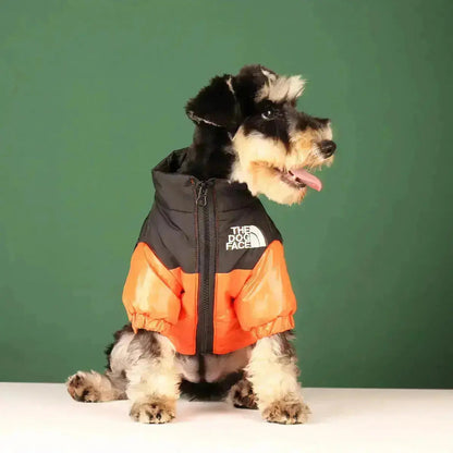 Veste Pour Chien Colorée Hivernale Avec Fermeture Éclair 8