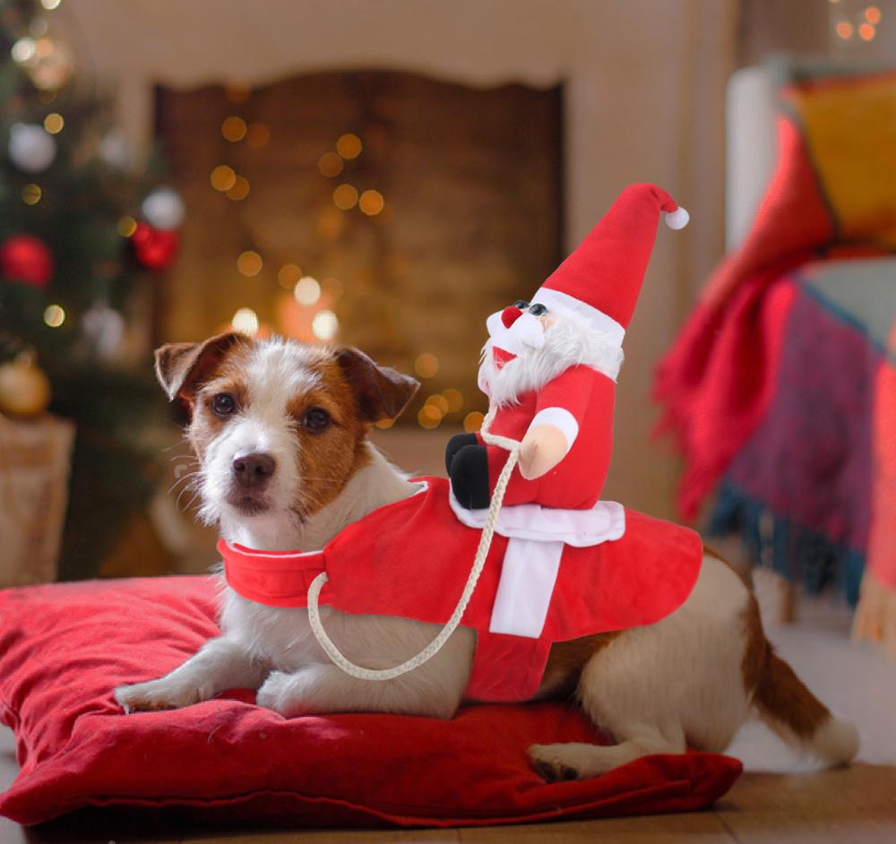 Vêtement Pour Chien De Noël Festif Confortable 5