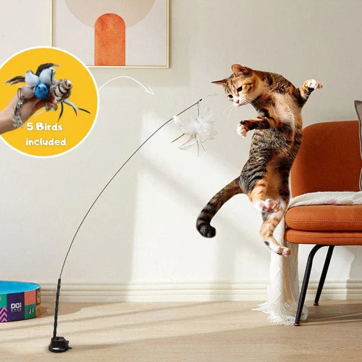 Jouet pour Chat Amusant et Sécuritaire - Foivo