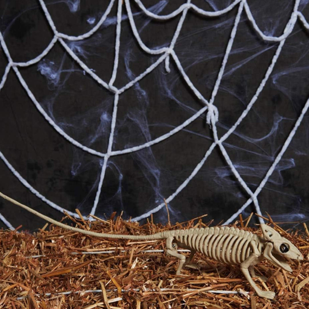 Décoration Épouvante Squelette et Chauve-souris Réutilisable