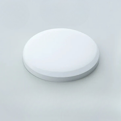 Lampe LED Salle de Bain Inondation