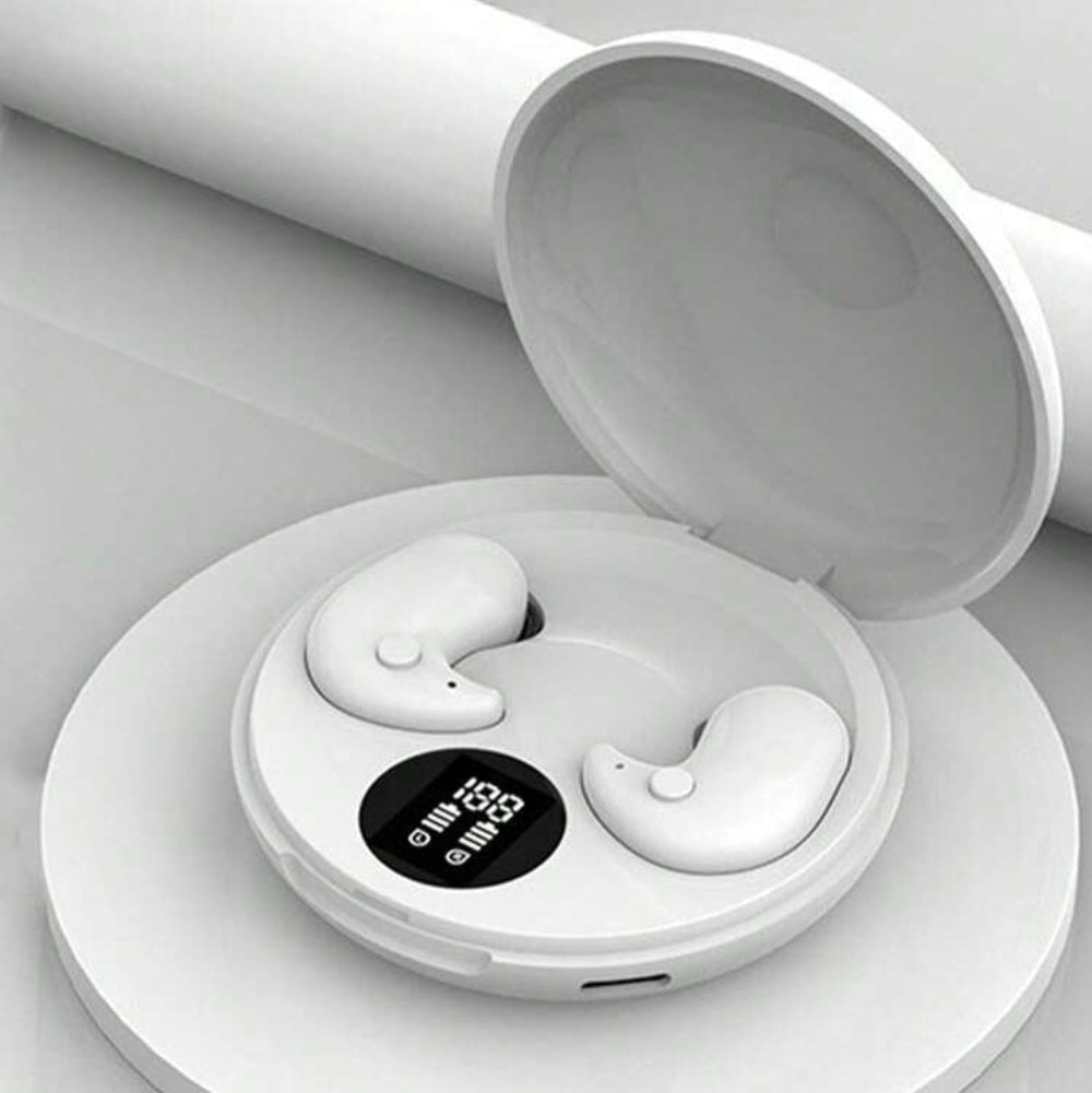 Écouteurs Bluetooth Sans Fil avec Étui de Recharge