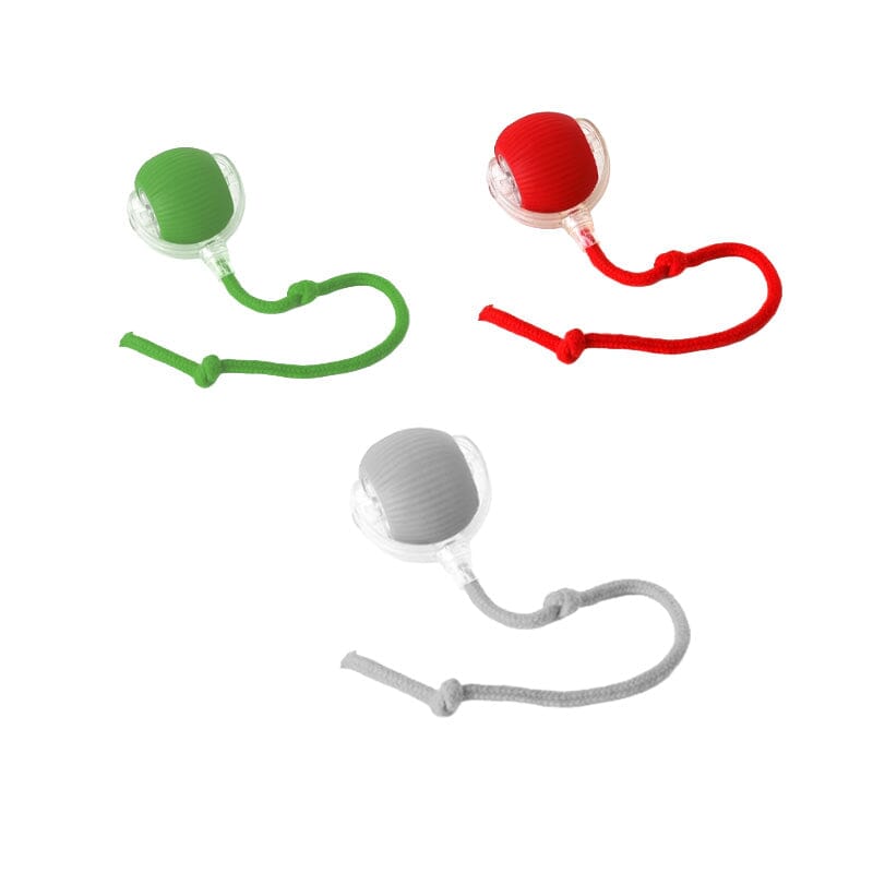 Jouet LED Chat Intérieur Amusant