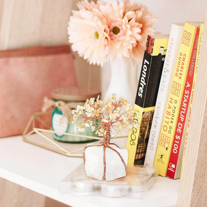 Ornement Feng Shui Bonsaï Décoratif
