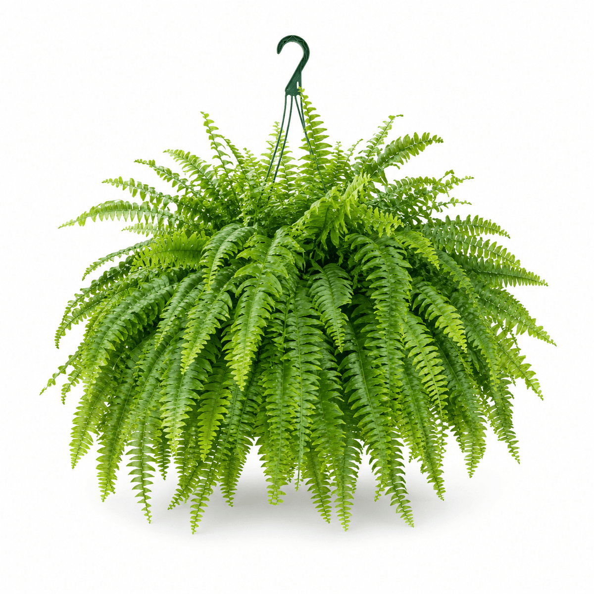 Plante Artificielle Extérieure Résistante UV Fougère de Boston - Foivo