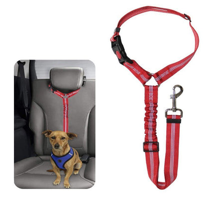Ceinture de Sécurité Auto Réglementaire