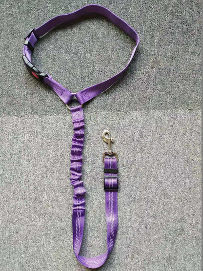 Ceinture de Sécurité Auto Réglementaire