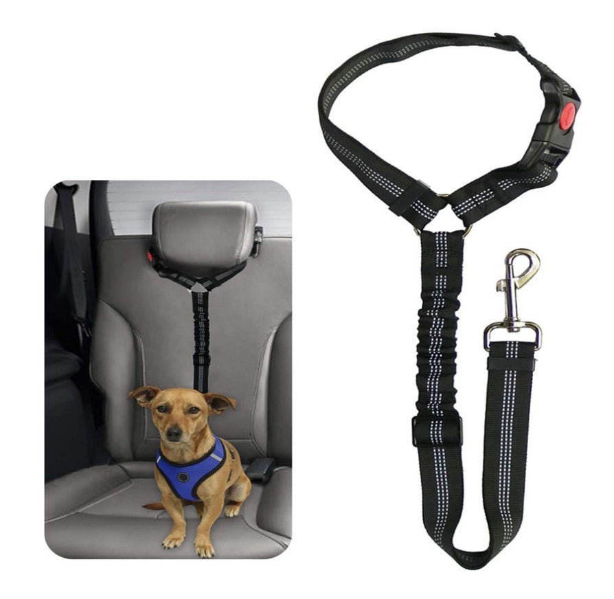 Ceinture de Sécurité Auto Réglementaire