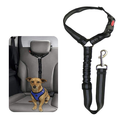 Ceinture de Sécurité Auto Réglementaire