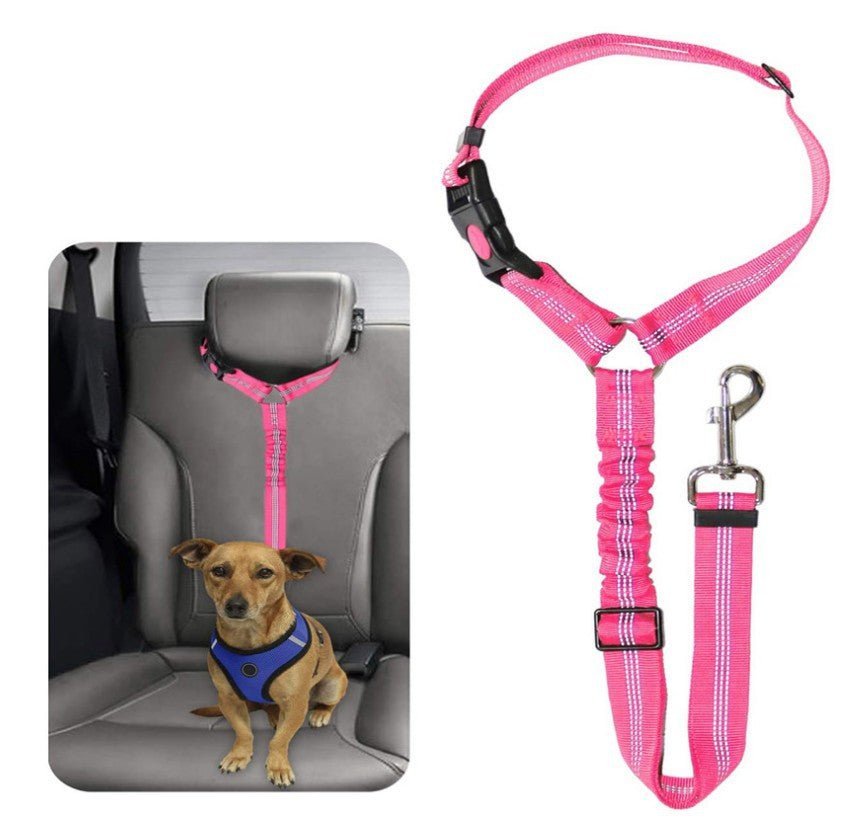 Ceinture de Sécurité Auto Réglementaire
