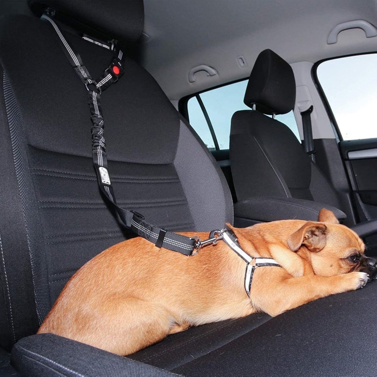 Ceinture de Sécurité Auto Réglementaire - blxckfr