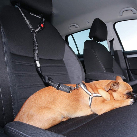 Ceinture de Sécurité Auto Réglementaire - blxckfr