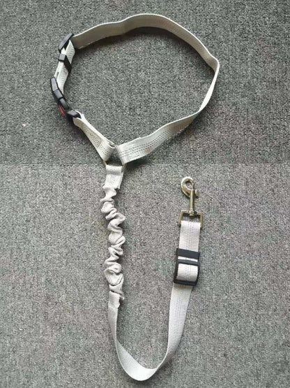 Ceinture de Sécurité Auto Réglementaire