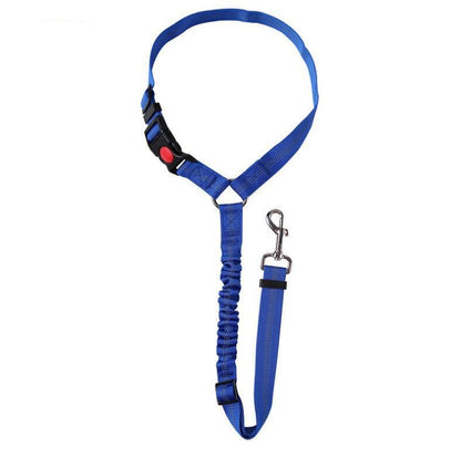 Ceinture de Sécurité Auto Réglementaire