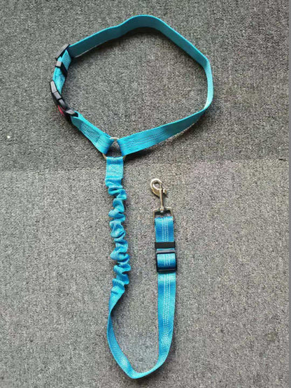 Ceinture de Sécurité Auto Réglementaire