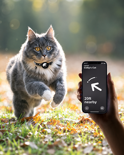 Collier GPS Chat Design Réfléchissant Ajustable