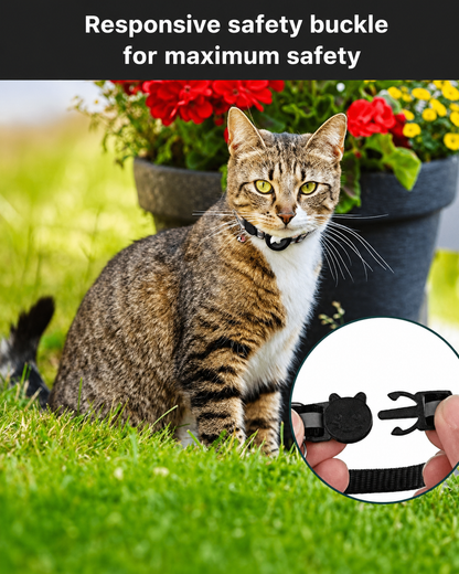 Collier GPS Chat Design Réfléchissant Ajustable