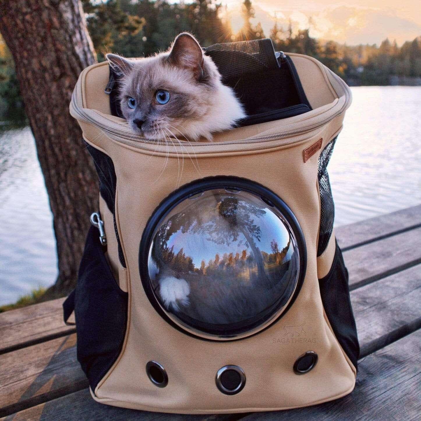 Sac à Dos Transport Chien Bulle Transparente - BlxckFR