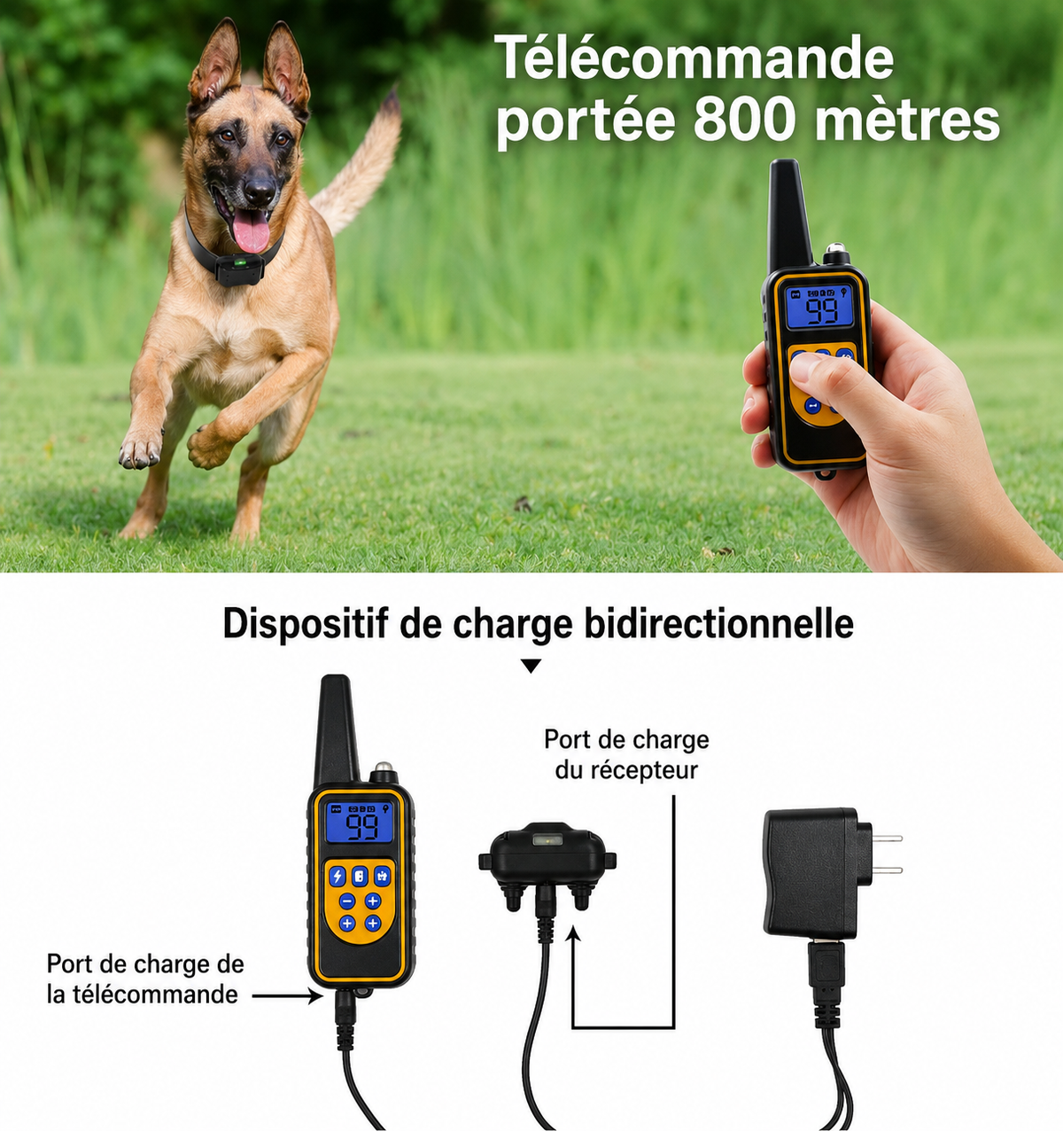 Collier Électrique Dressage Chien Télécommande Étanche