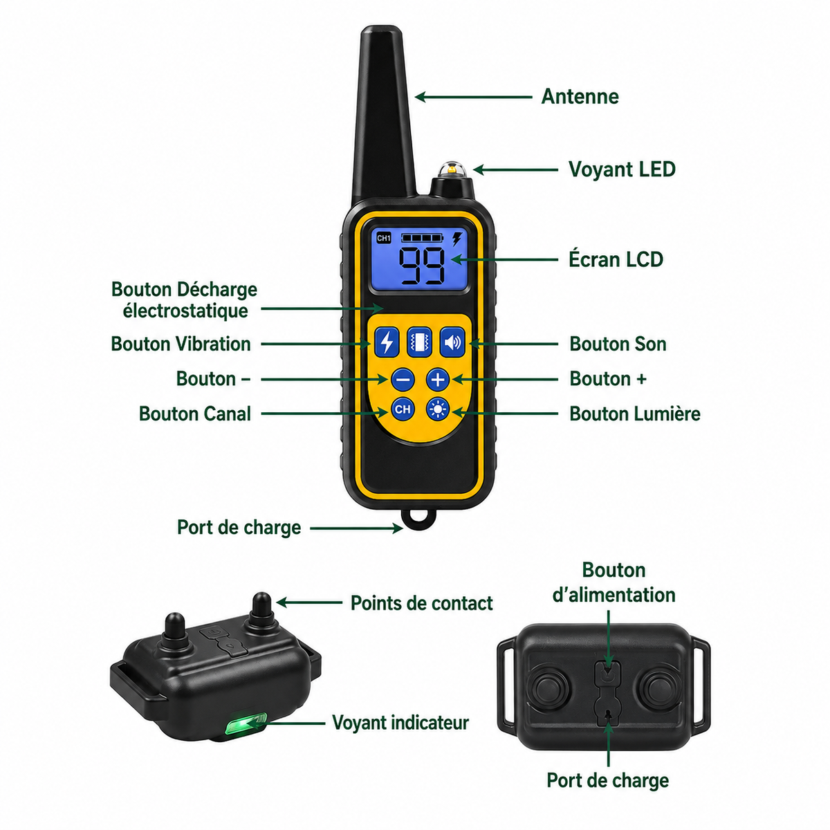 Collier Électrique Dressage Chien Télécommande Étanche