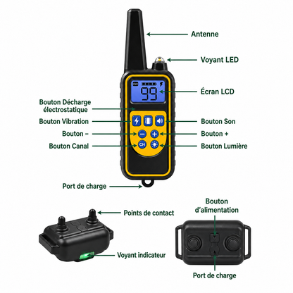 Collier Électrique Dressage Chien Télécommande Étanche