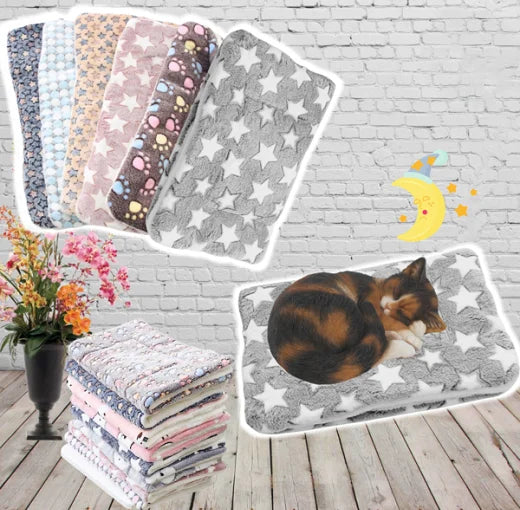 Couverture Chat Ultra Douce et Lavable - Foivo