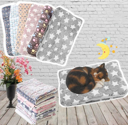 Couverture Chat Ultra Douce et Lavable - Foivo