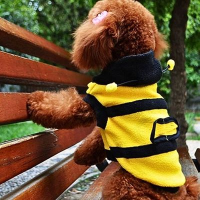 Costume Amusant pour Chien - blxckfr
